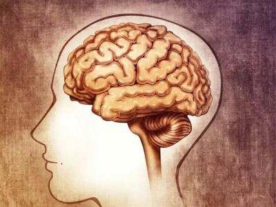 ���ӟ��m������-�F��ʹ���X�t�g